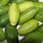 Pointed gourd